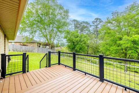 Parakeet, PENSACOLA, FL 32503