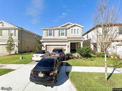 Beeswax, LAND O LAKES, FL 34638