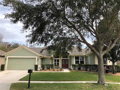 Nandina, WINTER SPRINGS, FL 32708