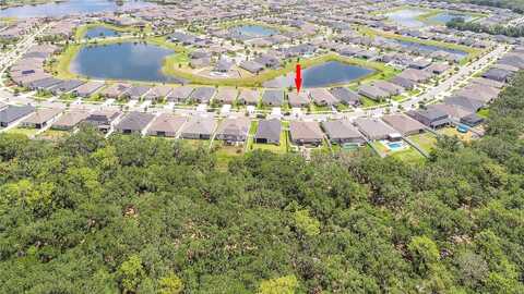 Satin Lily, RIVERVIEW, FL 33579