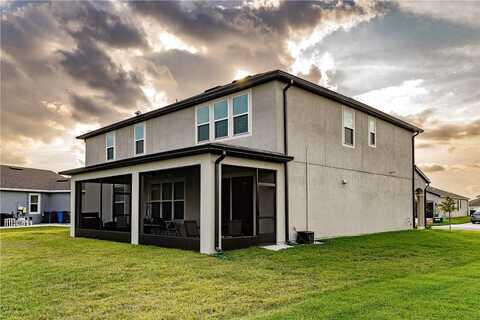 Tetrafin, RIVERVIEW, FL 33579