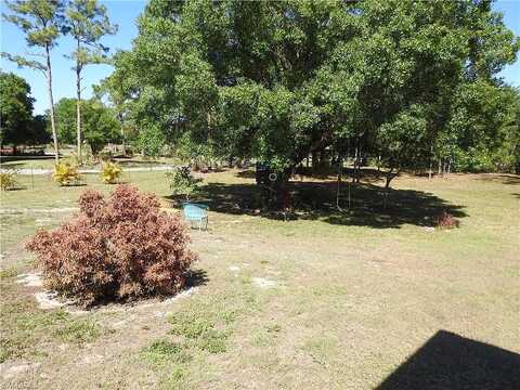 Neal, FORT MYERS, FL 33905
