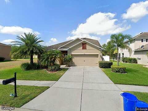 Sweet William, LAND O LAKES, FL 34639