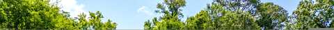 Page, ROSSVILLE, GA 30741