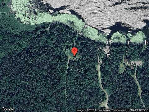 Bald Eagle, BIGFORK, MN 56628