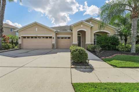 Nesslewood, WESLEY CHAPEL, FL 33543