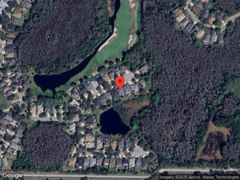 Chopin, LUTZ, FL 33558