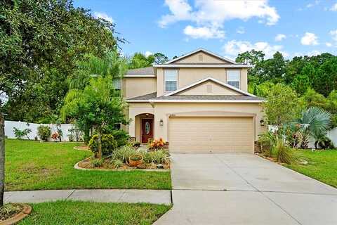 Dobson, HUDSON, FL 34667