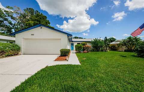Queen Anne, PALM HARBOR, FL 34684