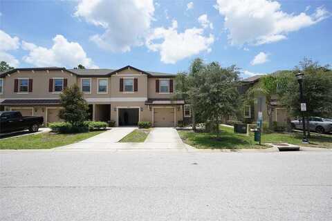Castine, NEW PORT RICHEY, FL 34654
