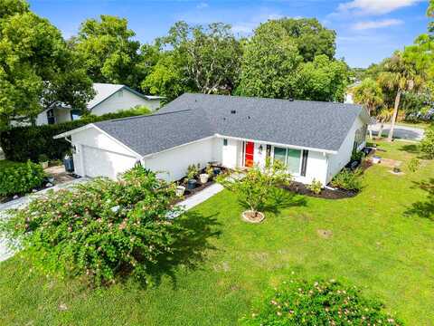 Hachita, PORT RICHEY, FL 34668