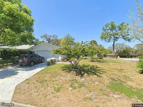 Hachita, PORT RICHEY, FL 34668