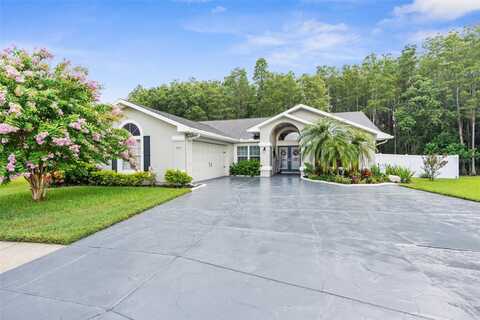 Crestknoll, NEW PORT RICHEY, FL 34653