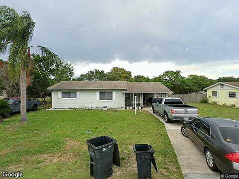 Morning Glory, DEBARY, FL 32713
