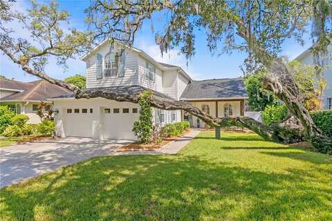 Dale, TAMPA, FL 33609