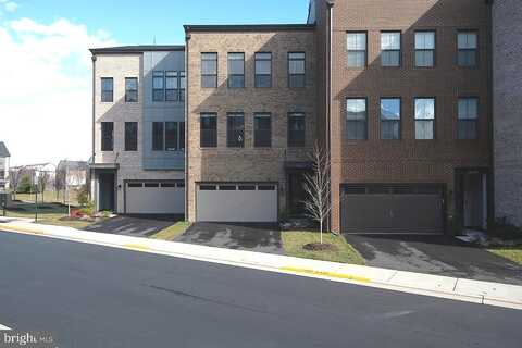Sullivans Cove, BRAMBLETON, VA 20148