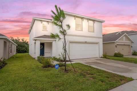 Whiskey Daisy, DADE CITY, FL 33525