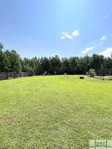 Forest, LUDOWICI, GA 31316