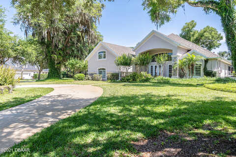Squirrel, ORMOND BEACH, FL 32174