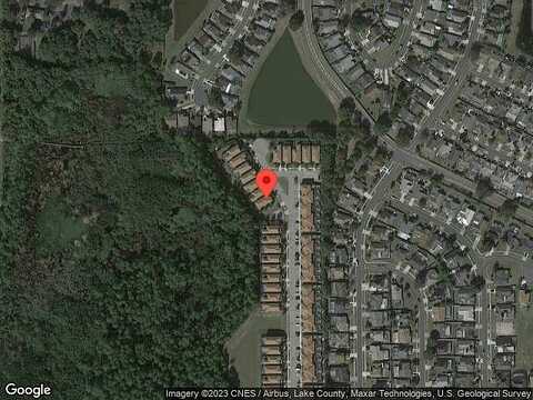 Bamboo Palm, KISSIMMEE, FL 34747