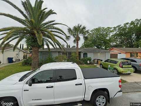 Castanea, PORT RICHEY, FL 34668