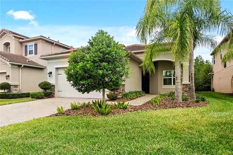 Lindentree, WESLEY CHAPEL, FL 33543