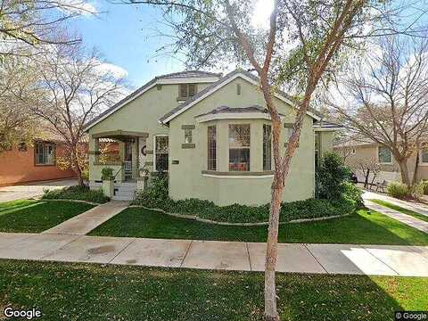 Camellia, GILBERT, AZ 85296