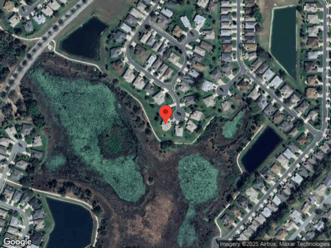 Falcon Feather, LEESBURG, FL 34748