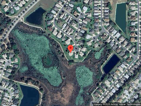 Falcon Feather, LEESBURG, FL 34748