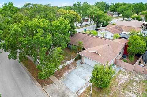 Colonial, DUNEDIN, FL 34698