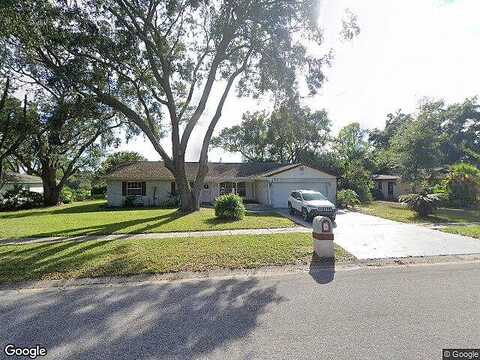 Summit View, VALRICO, FL 33596