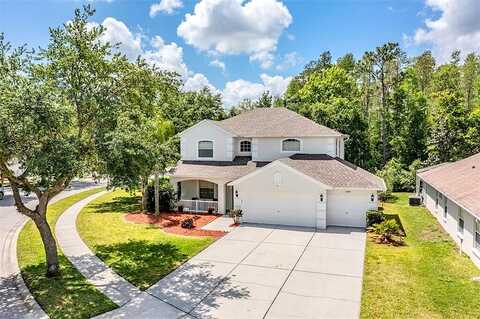 Leatherleaf, LAND O LAKES, FL 34638