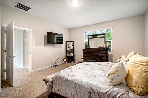 Waterleaf Garden, RIVERVIEW, FL 33579