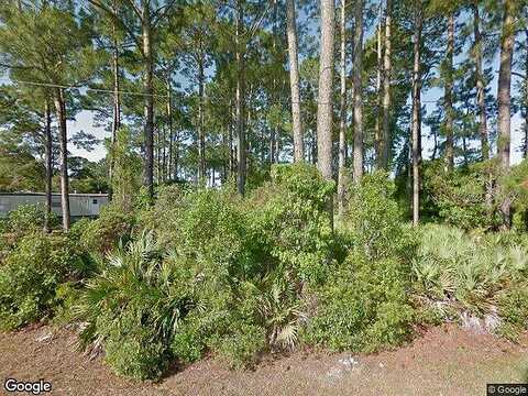 Olive, PORT SAINT JOE, FL 32456