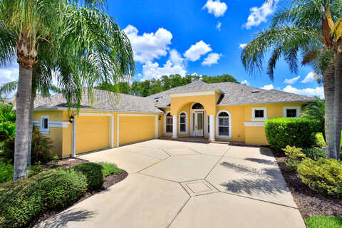 Marisol, NEW SMYRNA BEACH, FL 32168