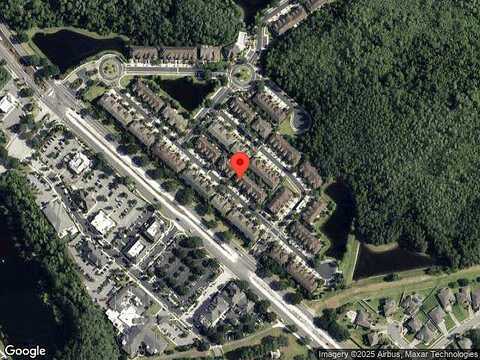 Silver Buttonwood, ORLANDO, FL 32832