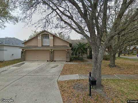 Swann Ridge, TAMPA, FL 33647