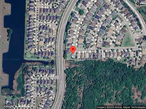 White Poplar, RIVERVIEW, FL 33578