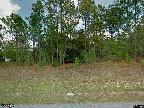 Tiny Lily, CITRUS SPRINGS, FL 34434