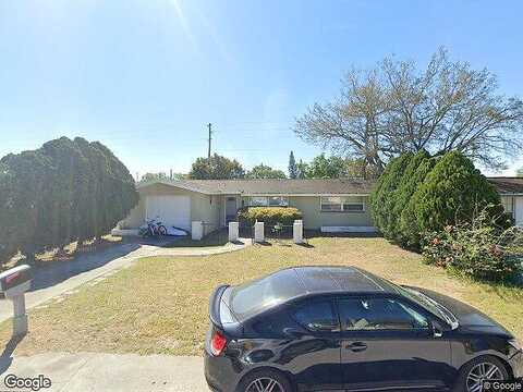 Betula, NEW PORT RICHEY, FL 34653