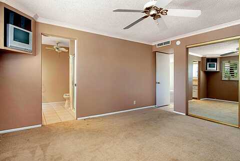 Chicory, PALM DESERT, CA 92260