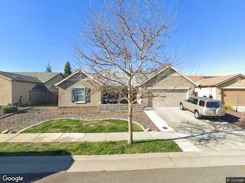 Weeping Willow, LINCOLN, CA 95648