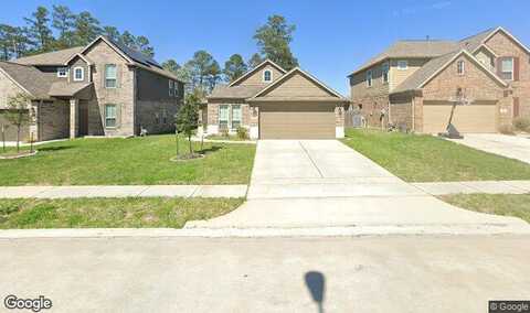 Early Winter, HUMBLE, TX 77338