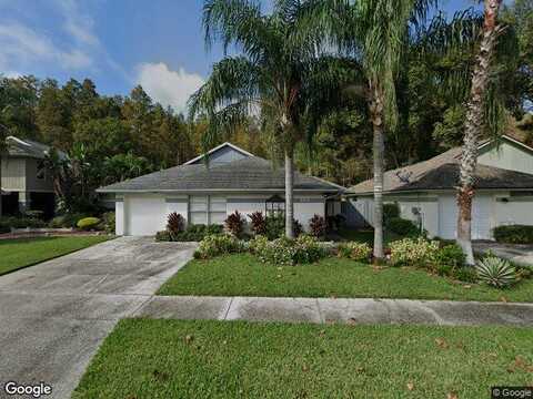 Birchwood, TAMPA, FL 33625