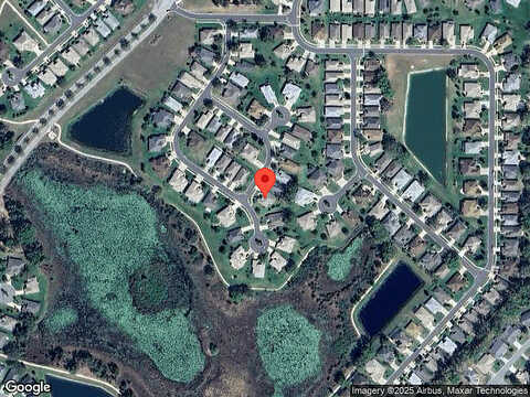 Woodland Moss, LEESBURG, FL 34748