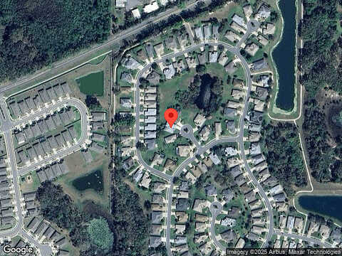 Water Lily, LEESBURG, FL 34748