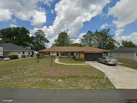 Buttonbush, BEVERLY HILLS, FL 34465