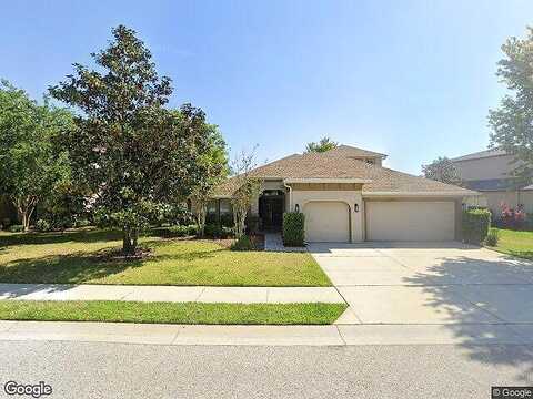 Diamonds Palm, WESLEY CHAPEL, FL 33543