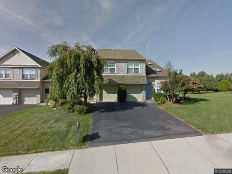 Celandine, ALLENTOWN, PA 18104