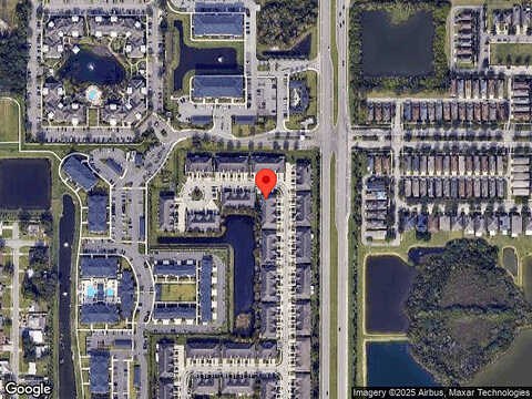 White Sanderling, TAMPA, FL 33619